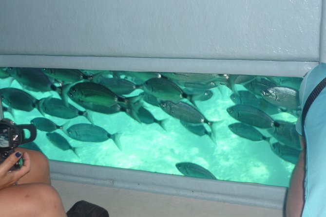 Cala Murtra: Immerse yourself in the beauty of an underwater world - Is $24.08 a fair price?