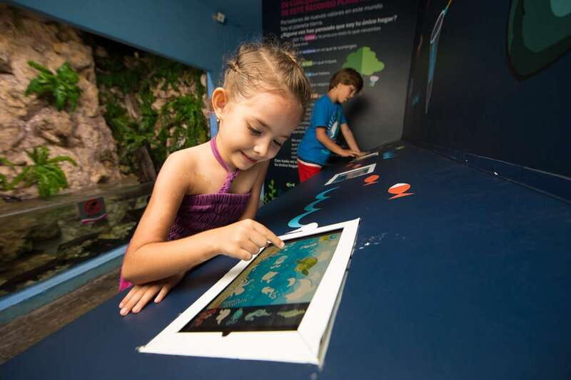 Cancún: Interactive Aquarium Admission - Key points at a glance