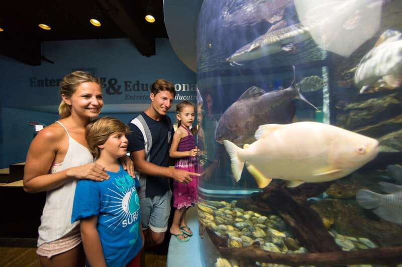 Cancún: Interactive Aquarium Admission - Entering the aquarium inside Plaza La Isla