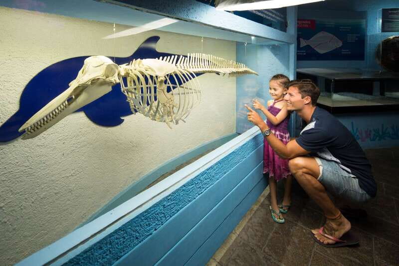 Cancún: Interactive Aquarium Admission - The touch tanks are the main attraction