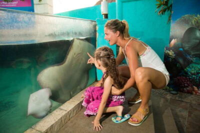 Cancún: Interactive Aquarium Admission