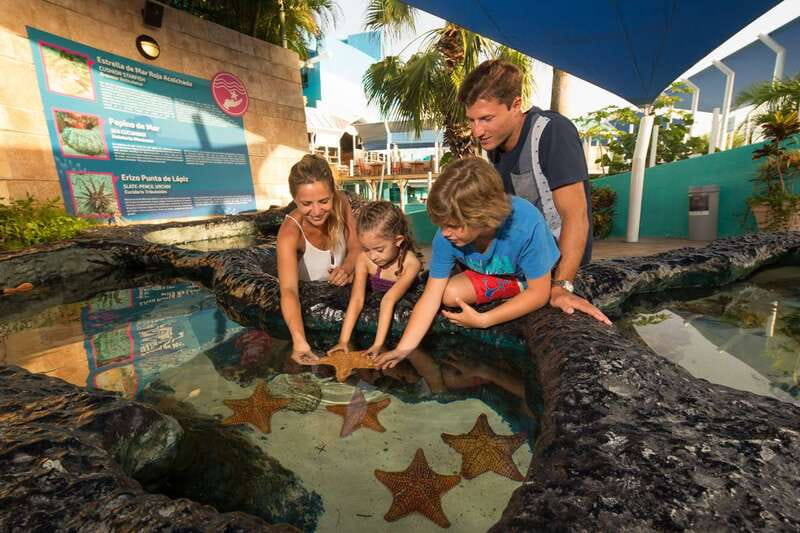 Cancún: Interactive Aquarium Admission - What you can and cannot do with the dolphins