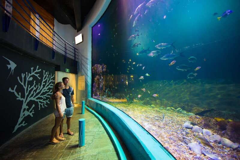Cancún: Interactive Aquarium Admission - How long should you plan to stay?