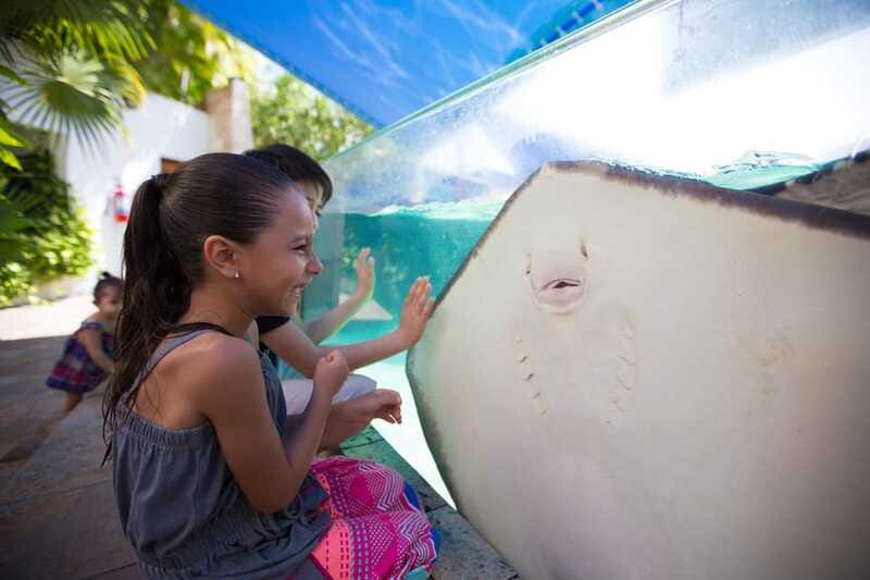 Cancún Interactive Aquarium Admission + Dolphin Presentation - Planning your day around the aquarium