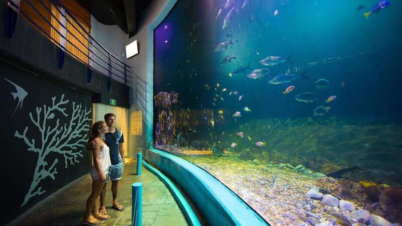 Cancún Interactive Aquarium Admission + Dolphin Presentation - Starting inside Plaza La Isla