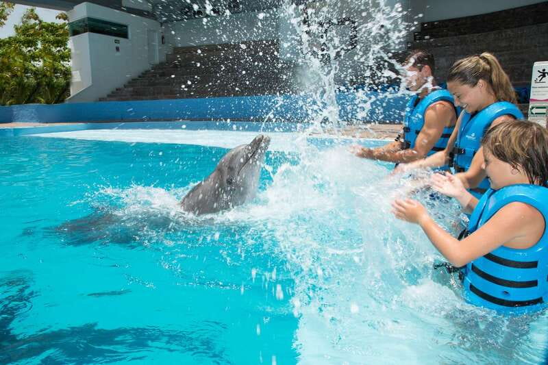 Cancun: Interactive Aquarium - Swim with dolphins Premium - Key points at a glance