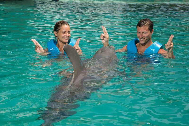 Cancun: Interactive Aquarium - Swim with dolphins Premium - What the $185 experience actually gives you
