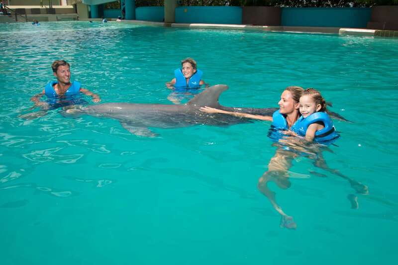 Cancun: Interactive Aquarium - Swim with dolphins Premium - Starting inside Plaza La Isla