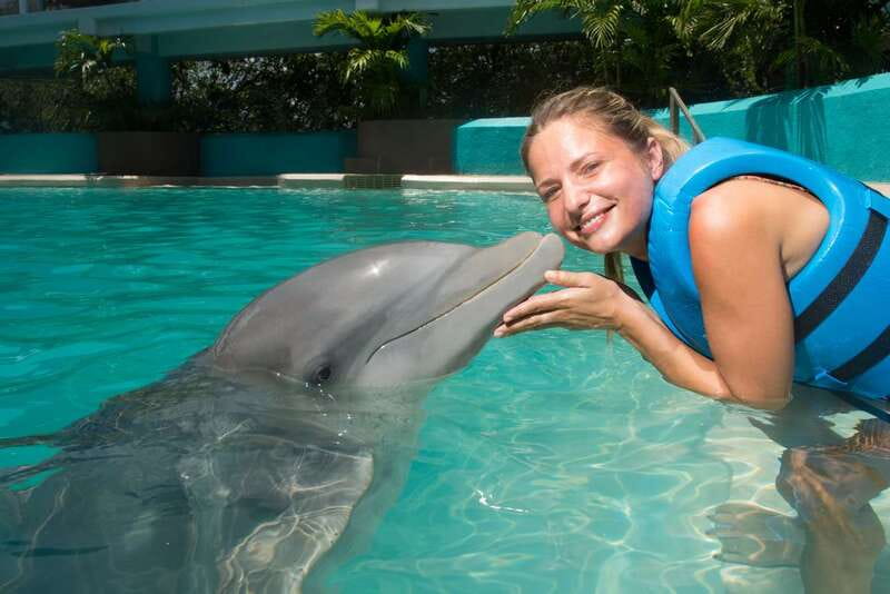 Cancun: Interactive Aquarium - Swim with Dolphins Splash - Key points to know before booking