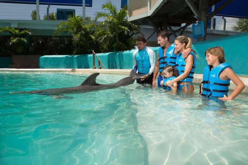 Cancun: Interactive Aquarium - Swim with Dolphins Splash - Meeting the dolphins at Plaza La Isla