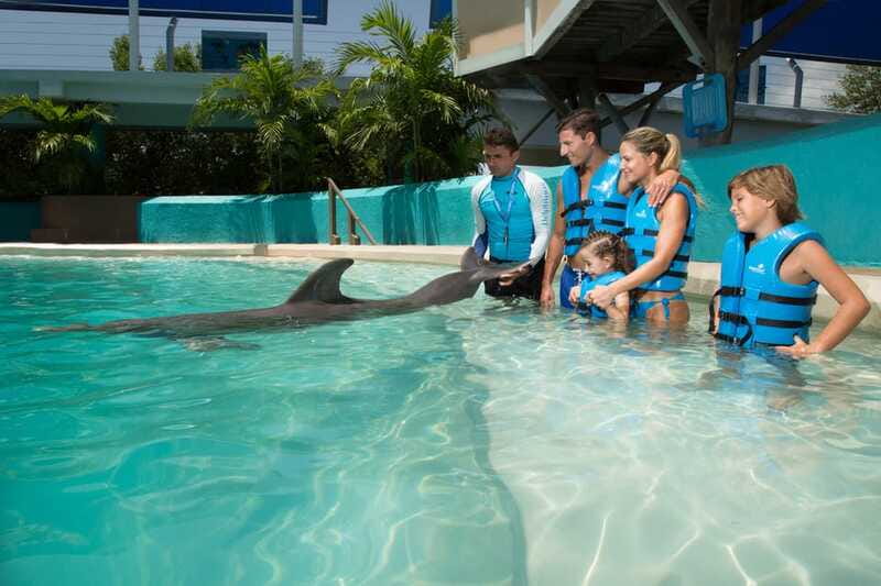 Cancun: Interactive Aquarium - Swim with Dolphins Splash - Who will enjoy this most?