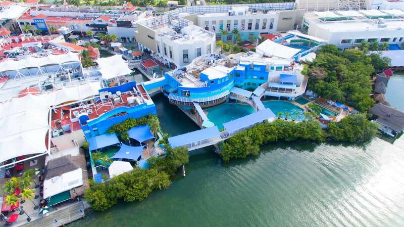 Cancun: Interactive Aquarium - Swim with Dolphins Splash - The 35-minute program, step by step
