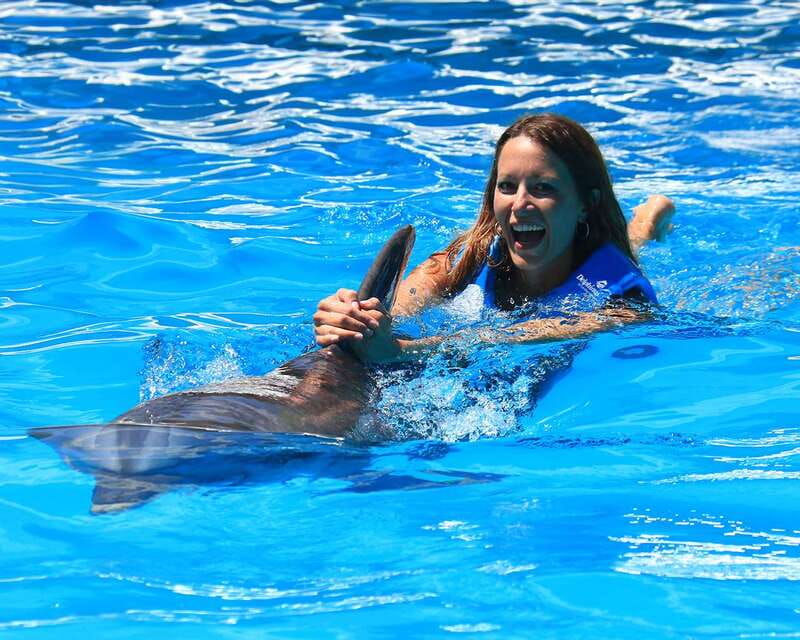 Cancun: Interactive Aquarium Ticket and Swim with Dolphins - Key points to know before you book