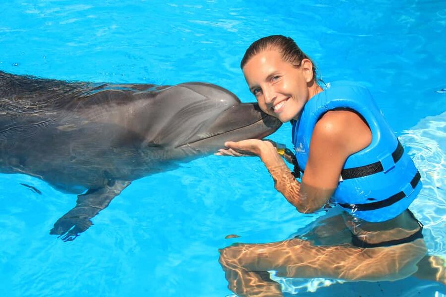 Cancun: Interactive Aquarium Ticket and Swim with Dolphins - What the 45-minute dolphin session feels like