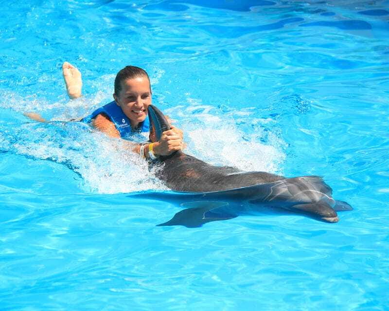 Cancun: Interactive Aquarium Ticket and Swim with Dolphins - Who will enjoy this most