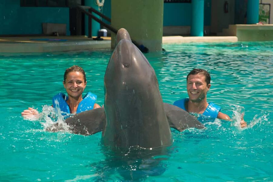 Cancun: Interactive Aquarium Ticket and Swim with Dolphins - Getting to Interactive Aquarium Cancun at Plaza La Isla