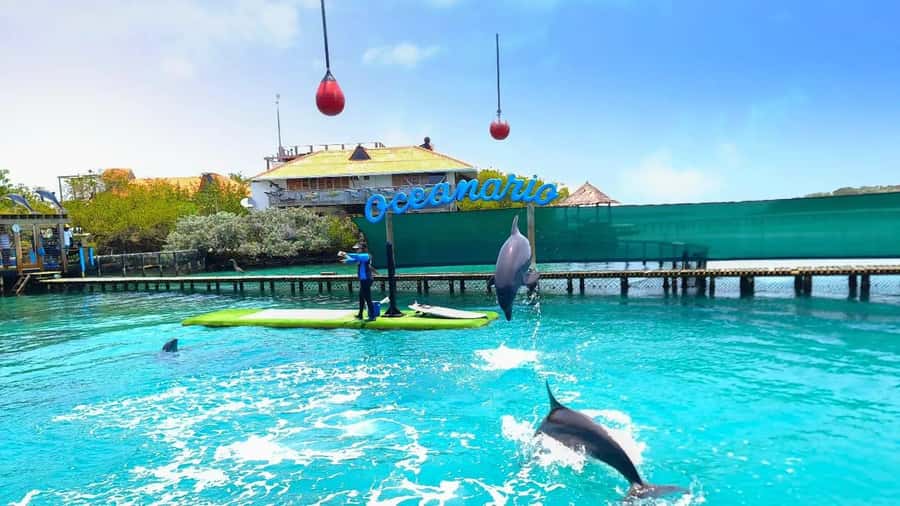 CARTAGENA: 4 islands by sport boat +oceanarium tickets - Private island time and what the entry covers