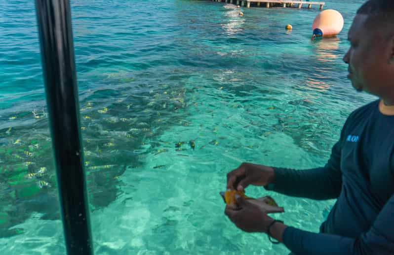Cartagena: Ecoplan on Barú, Aviary and Oceanarium in one day - Rosario Islands and the optional oceanarium