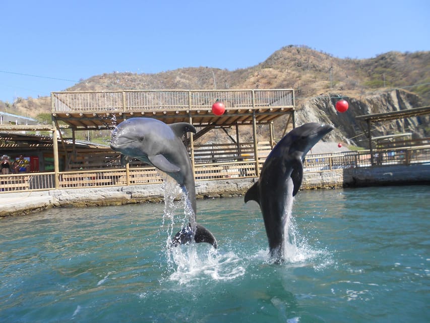 Cartagena: Ecoplan on Barú, Aviary and Oceanarium in one day - Transport matters more than the brochure suggests
