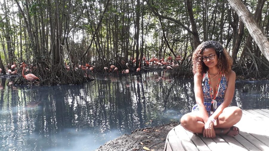 Cartagena: Ecoplan on Barú, Aviary and Oceanarium in one day - Who will like this day trip