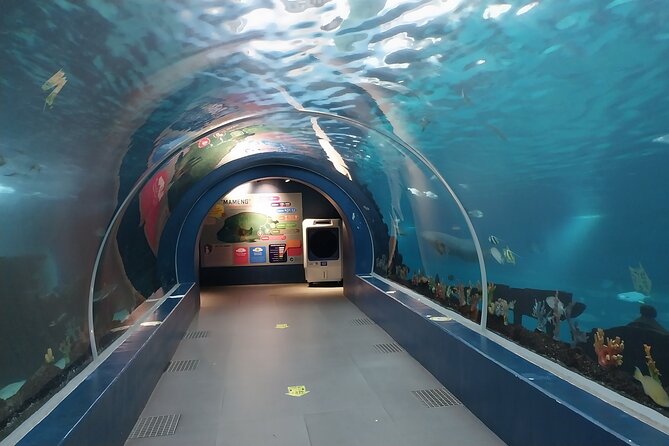 Cebu Ocean Park - Cebu Ocean Park: A Cool Break from Cebu City