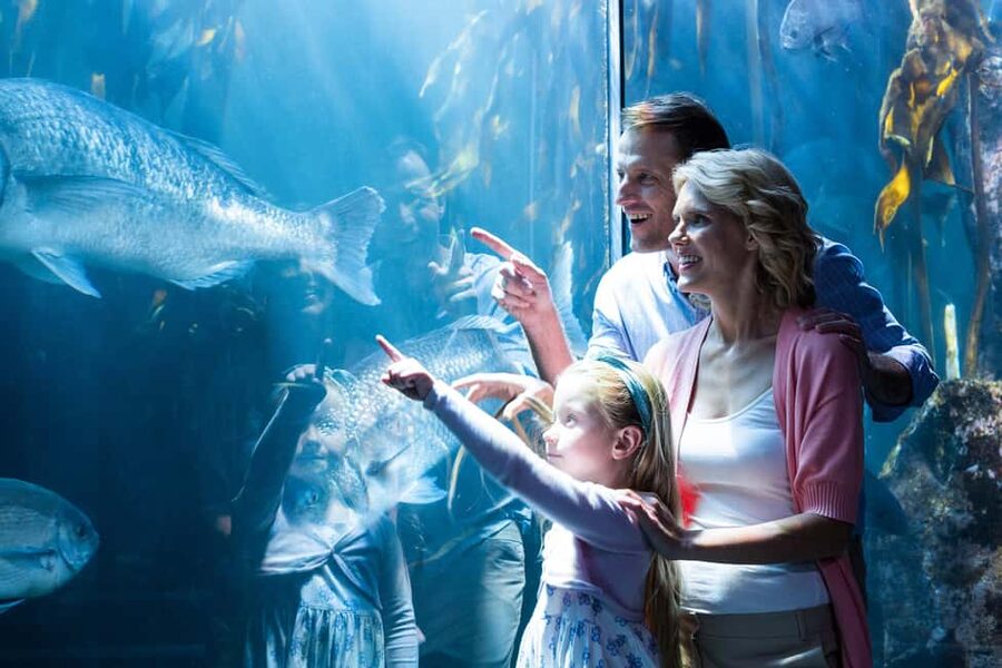 Chicago: 1-5 Day Attraction Pass with Shedd Aquarium - What the Chicago All-Inclusive Pass covers