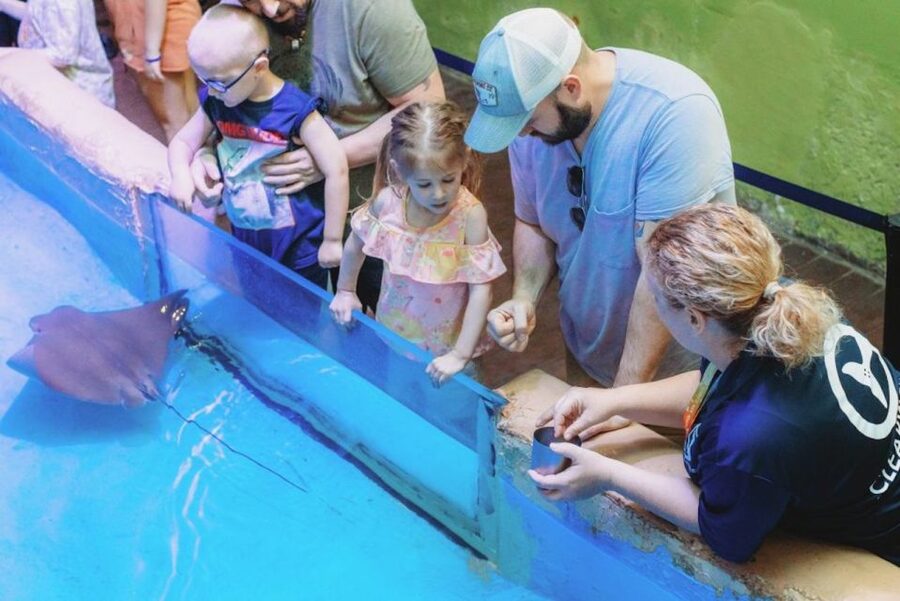 Clearwater: Eco-Certified Marine Aquarium General Admission - Harbor View Deck and Stranding Deck