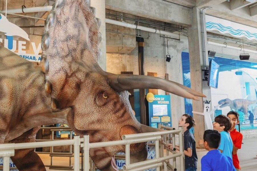 Clearwater: Eco-Certified Marine Aquarium General Admission - Adding a Clearwater Bay Boat Tour