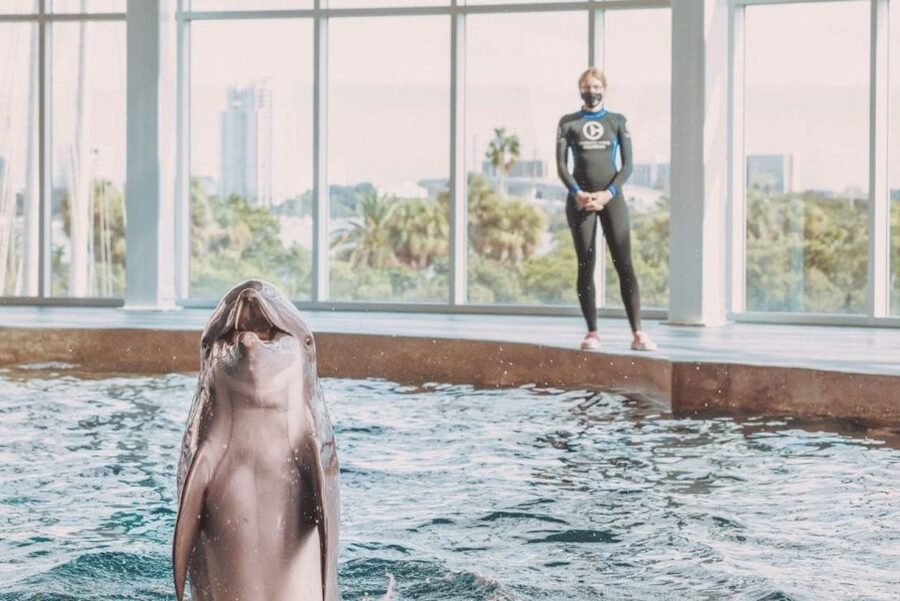 Clearwater: Eco-Certified Marine Aquarium General Admission - Starting at 249 Windward Passage