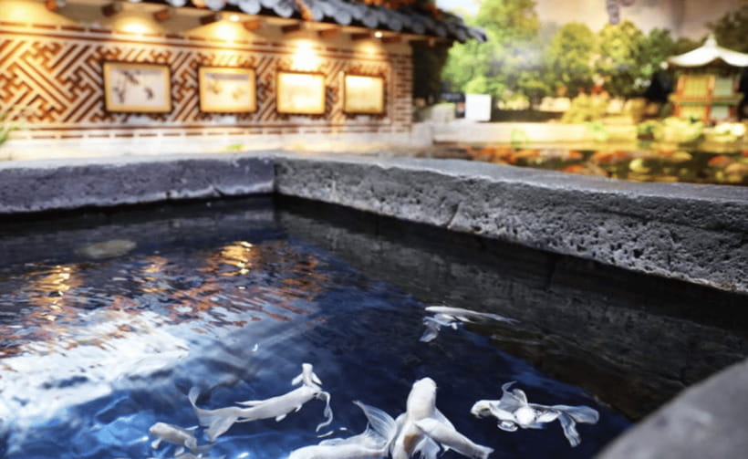 Coex Aquarium Entry Ticket - Practical rules before you go