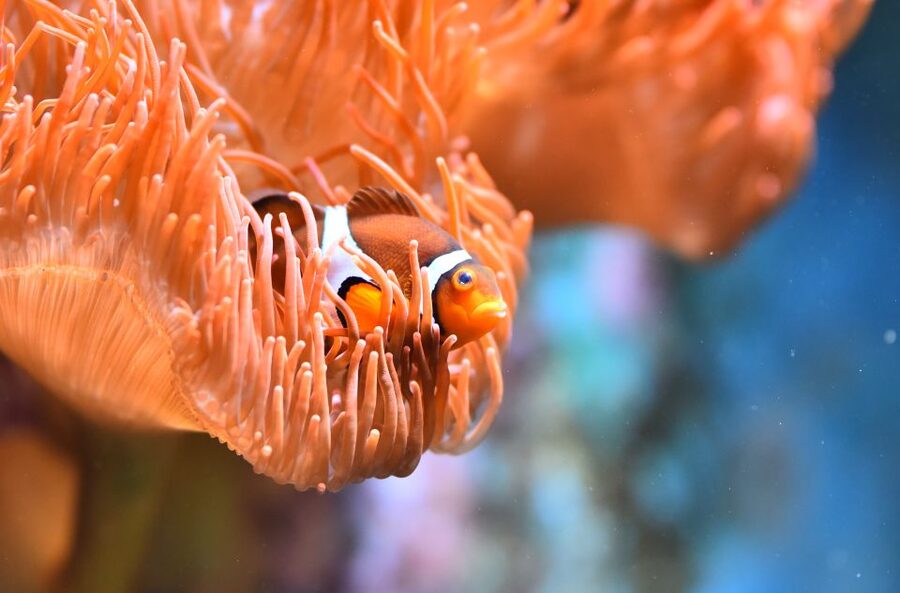 Cologne: Cologne Zoo and Aquarium Entry Ticket - The Rainforest Hall is your rainy-day refuge