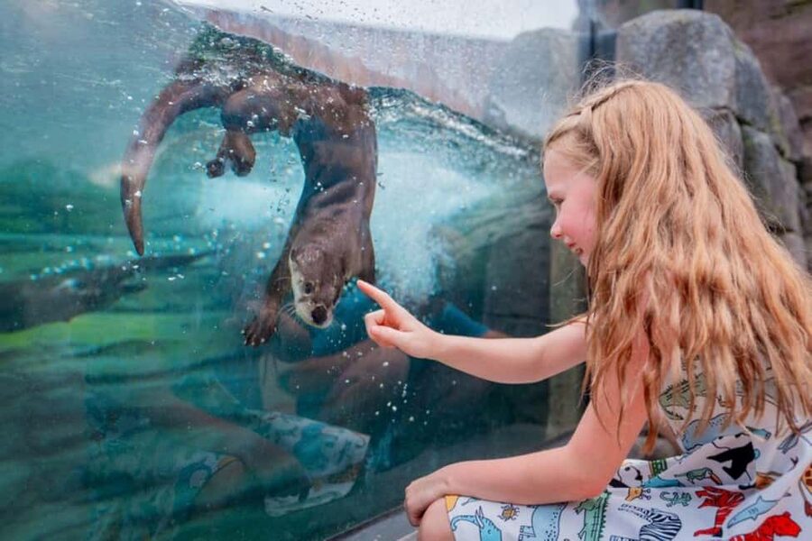 Columbus, OH: Columbus Zoo and Aquarium Entry Ticket - Key points to know before you go