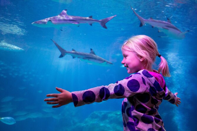 Combi Ticket: LEGOLAND Discovery Centre & SEA LIFE Oberhausen - LEGOLAND Discovery Centre: building before sightseeing