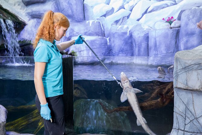 Combi Ticket: LEGOLAND Discovery Centre & SEA LIFE Oberhausen - The main drawback: heat, crowds, and limited space