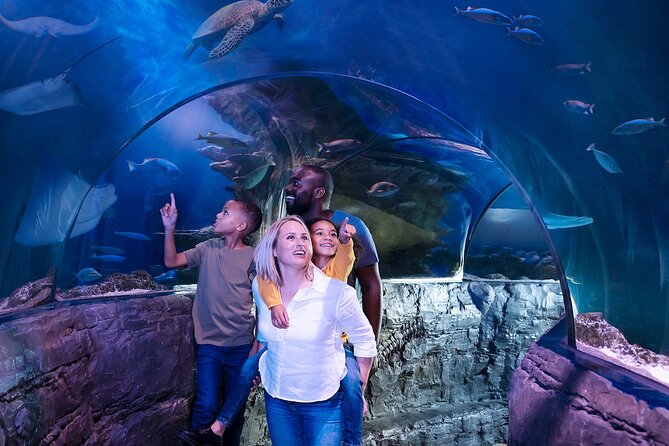 Combo Ticket: Madame Tussauds & SEA LIFE London Aquarium - SEA LIFE London Aquarium brings a different mood
