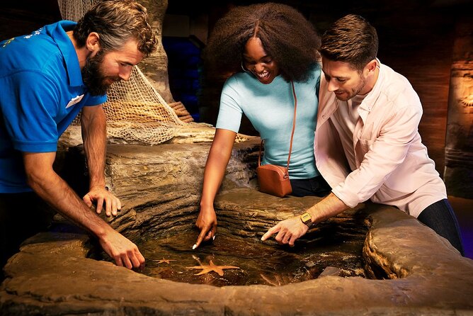 Combo Ticket: Madame Tussauds & SEA LIFE London Aquarium - Booking and cancellation details that matter