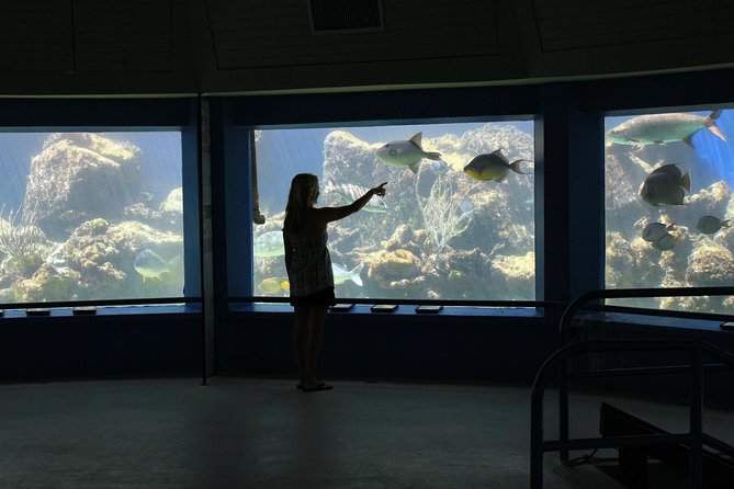 Coral World Ocean Park General Admission Ticket - Walk through the park at your own pace