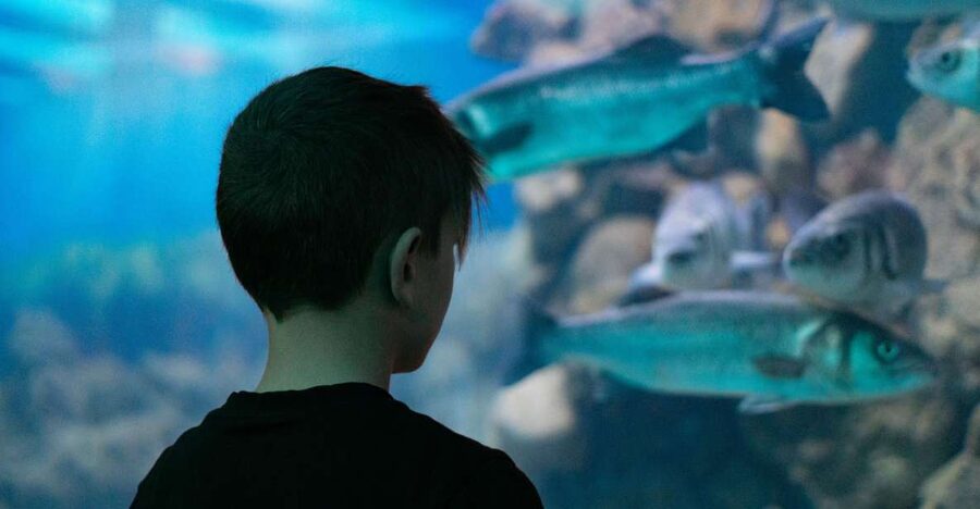 Corfu: Aquarium Entry Ticket with Guided Tour - The Reptile House adds variety