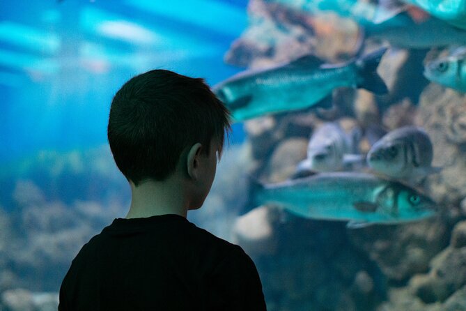 Corfu Aquarium Ticket with Tour Included - Starting at Corfu Aquarium in Palaiokastritsa