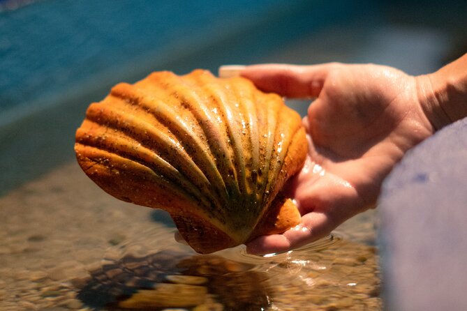 Corfu Aquarium Ticket with Tour Included - Choosing morning or afternoon
