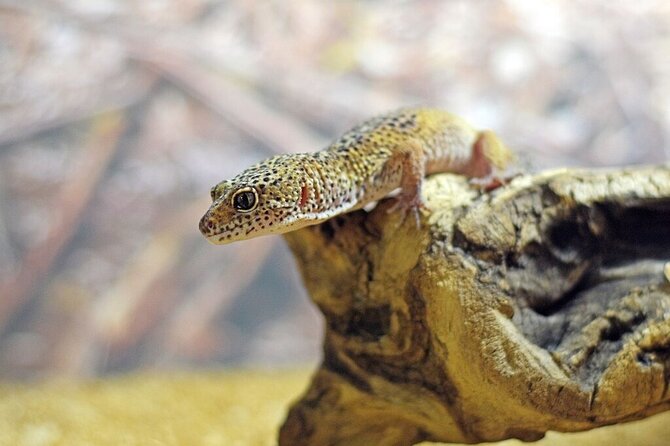 Corfu Aquarium Ticket with Tour Included - Cancellation and booking value