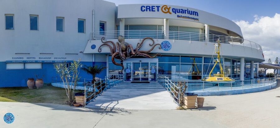 Crete: Heraklion Center, Local Market and Creta Aquarium - Key points at a glance