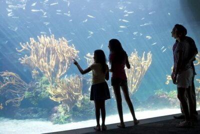 Crystal Caves, Aquarium, City of Hamilton and Ferry