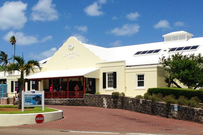 Crystal Caves, Aquarium, City of Hamilton and Ferry - Who should choose this Bermuda day tour?