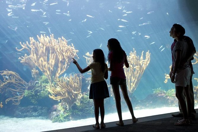 Crystal Caves, Aquarium, City of Hamilton and Ferry - The Aquarium, Museum and Zoo in one compact stop