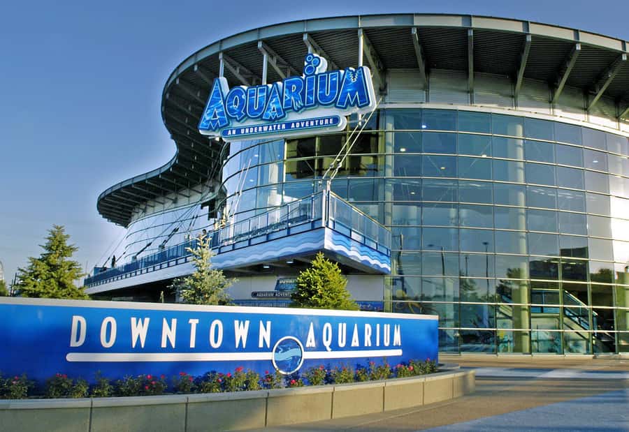 Denver: Downtown Aquarium All-Day Pass - Entering the underwater galleries
