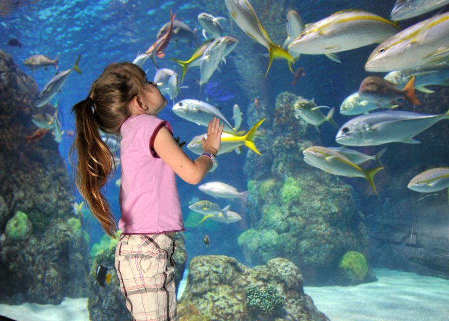 Denver: Downtown Aquarium All-Day Pass - Practical booking details that affect your decision