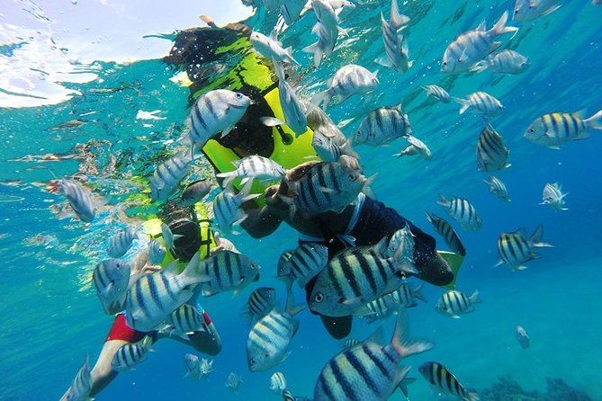 Discover Sosua's Underwater World & Beach Day - Sosua Beach after snorkeling