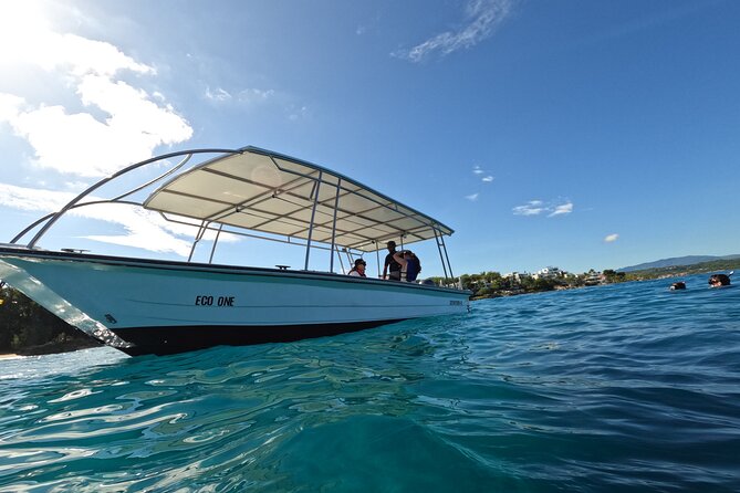 Discover Sosua's Underwater World & Beach Day - What the $69 price really covers
