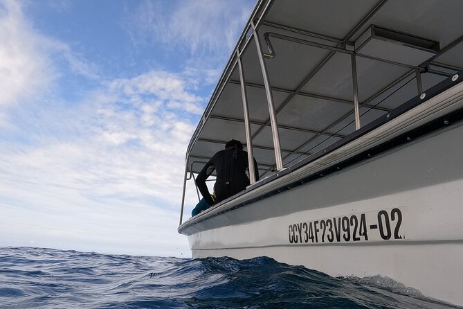 Discover Sosua's Underwater World & Beach Day - Who will enjoy this most